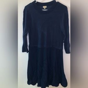 Cremieux A Line Sweater Dress